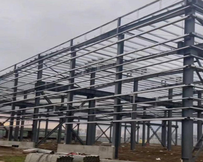 安徽芜湖金瑞产业园钢结构厂房